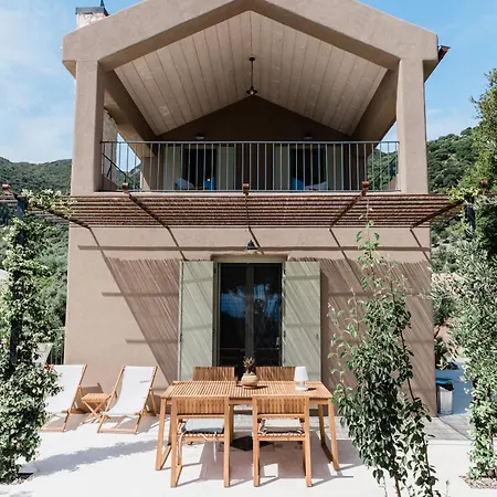 Glysinia * Perachori